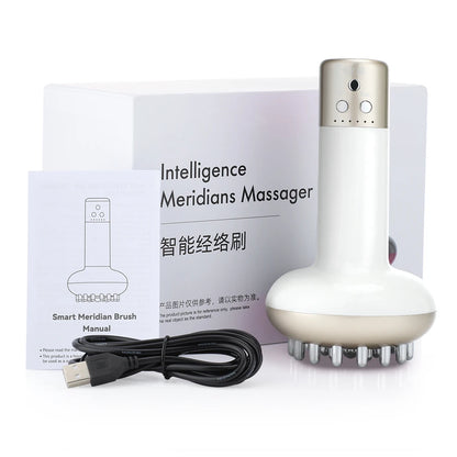 Rechargeable Guasha Massager Body Shaping Heating Meridian Scraping Brush Lymphatic Detoxification Regimen Dredging Fat Burner
